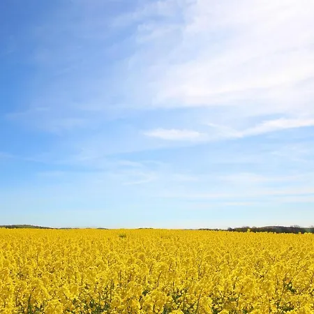 Haus Blick Zur See Ferienwohnung 11 Mit Sauna- Und Schwimmbadnutzung Im Ahoi Sellin *